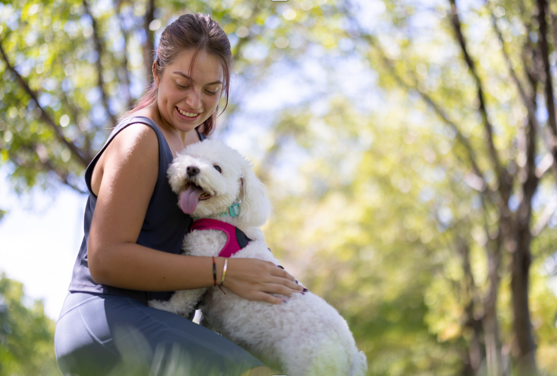 What to add to our minces