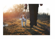 NATIONAL WALKING DAY - 2 April 2025