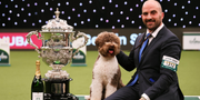 Win Two Crufts 2024 Tickets & a £50 The Farmer's Dog Voucher!