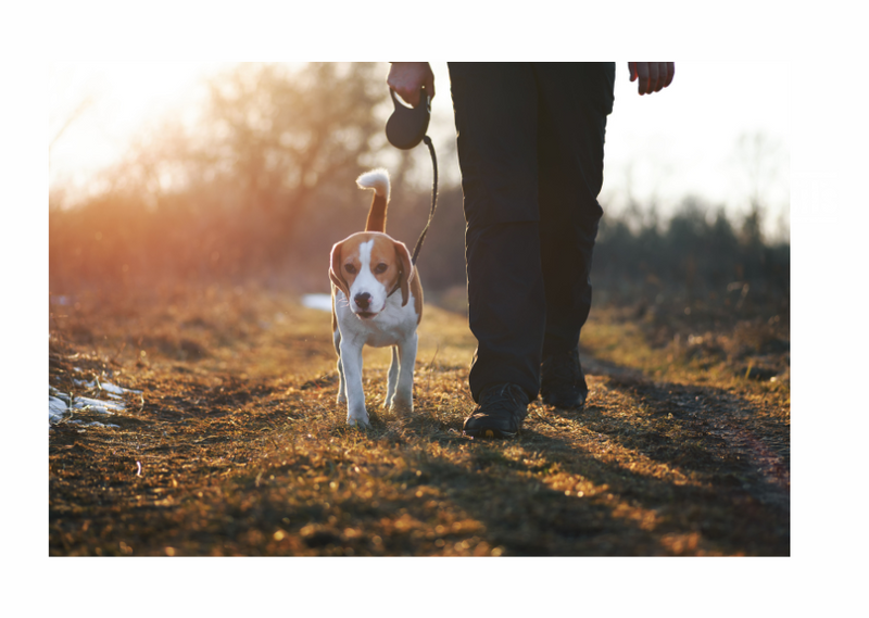 NATIONAL WALKING DAY - 2 April 2025