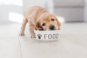 Feeding Puppies our Premium Raw Dog Food