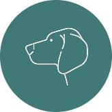 Farmers Dog, raw dog food and treats