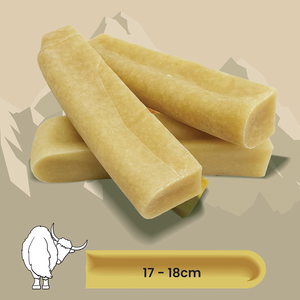 Yak Chew XL